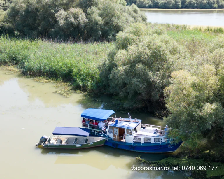 Bărci acostate pe Dunăre înconjurate de vegetație
